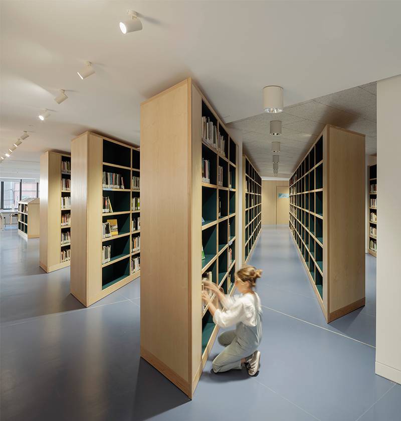 Biblioteca Rosalía de Castro